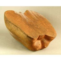 Half Apple 22in. - Fiberglass Resin - Indoor/Outdoor Statue/Sculpture