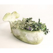 Whale planter Fiberglass Resin Indoor/Outdoor Garden / Patio