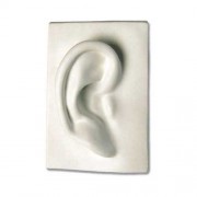 Right Ear 7in. - Fiberglass Resin - Indoor/Outdoor Statue/Sculpture Right Ear 7in. - Fiberglass Resin - Indoor/Outdoor Statue/Sculpture