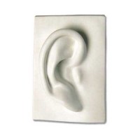 Right Ear 7in. - Fiberglass Resin - Indoor/Outdoor Statue/Sculpture