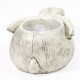 Rabbit Planter - Fiberglass - Indoor/Outdoor Statue/Sculpture -  - F789
