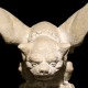 Fat Headed Gargoyle 18in. - Fiber Stone Resin - Indoor/Outdoor Statue -  - FS68445