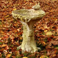 Nature's Small Birdbath - Fiberglass Resin - Indoor/Outdoor Statue