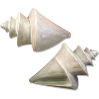 Colossal Conch Shell 68in. Fiberglass Resin Indoor/Outdoor Garden