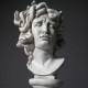 Medusa Bust - Fiberglass - Indoor/Outdoor Statue/Sculpture -  - T9337