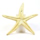 Starfish Giant Wall 30in. Fiber Stone Resin Indoor/Outdoor Statue -  - FS8428W