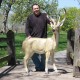 White Tail Deer 64in. - Fiber Stone Resin - Indoor/Outdoor Statue -  - FSO677RLC
