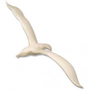 Flying Albatross (Liteweight) Fiberglass Resin Indoor/Outdoor Statue