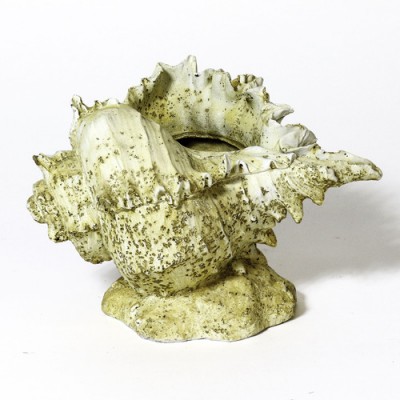 Caribbean Conch - Fiber Stone Resin - Indoor/Outdoor Statue/Sculpture - - FS8665 Caribbean Conch - Fiber Stone Resin - Indoor/Outdoor Statue/Sculpture - - FS8665