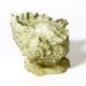 Caribbean Conch - Fiber Stone Resin - Indoor/Outdoor Statue/Sculpture - - FS8665 Caribbean Conch - Fiber Stone Resin - Indoor/Outdoor Statue/Sculpture - - FS8665