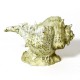 Caribbean Conch - Fiber Stone Resin - Indoor/Outdoor Statue/Sculpture - - FS8665 Caribbean Conch - Fiber Stone Resin - Indoor/Outdoor Statue/Sculpture - - FS8665