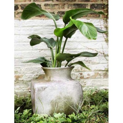Perfume Vase Square 17in. Fiber Stone Resin Indoor/Outdoor Statue -  - FS7964-17