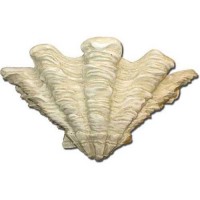 Shell Sconce 9in. - Fiberglass Resin - Indoor/Outdoor Garden Statue