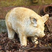 Baby Porker Pig 8in. - Fiberglass Resin - Indoor/Outdoor Statue