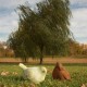 Barn Bird Feeding - Fiber Stone Resin - Indoor/Outdoor Garden Statue -  - FS8681