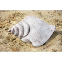 Beach Shell 16in. Fiberglass Resin Indoor/Outdoor Garden