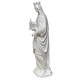 Saint Hedwig 60in. High Fiberglass Indoor/Outdoor Garden -  - F2320