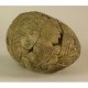 Creation 8in. (Egg) - Fiber Stone Resin - Indoor/Outdoor Garden Statue -  - FS8185