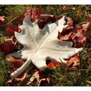 Maple Leaf 14in. Fiberglass Resin Indoor/Outdoor Garden