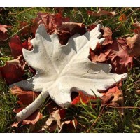 Maple Leaf 14in. Fiberglass Resin Indoor/Outdoor Garden