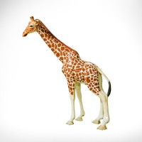 GIRAFFE, Large - Fiberglass Resin Indoor/Outdoor Garden Statue