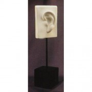 David Ear On Pole - Fiberglass Resin - Indoor/Outdoor Garden Statue