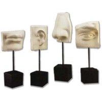 David Face Set On Pole - Fiberglass Resin - Indoor/Outdoor Statue