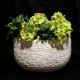 Harden Pot Large 13in. A Fiber Stone Resin Indoor/Outdoor Statue - - FS62048A Harden Pot Large 13in. A Fiber Stone Resin Indoor/Outdoor Statue - - FS62048A