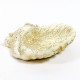 Seashell Birdbath 15 Win. - Fiber Stone Resin - Indoor/Outdoor Statue - - FS8528 Seashell Birdbath 15 Win. - Fiber Stone Resin - Indoor/Outdoor Statue - - FS8528