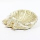 Seashell Birdbath 15 Win. - Fiber Stone Resin - Indoor/Outdoor Statue - - FS8528 Seashell Birdbath 15 Win. - Fiber Stone Resin - Indoor/Outdoor Statue - - FS8528