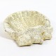 Seashell Birdbath 15 Win. - Fiber Stone Resin - Indoor/Outdoor Statue - - FS8528 Seashell Birdbath 15 Win. - Fiber Stone Resin - Indoor/Outdoor Statue - - FS8528