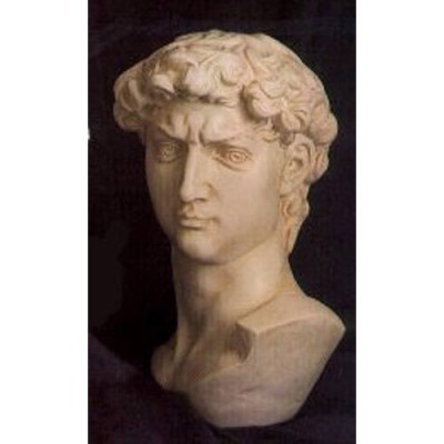David Bust Large 18in. - Fiberglass - Indoor/Outdoor Statue -  - F1100