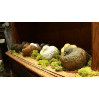 Birds Dove-Large 6 H Fiber Stone Indoor/Outdoor Garden Statue