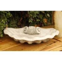 Mio Shell 26" W (Ny) - Fiberglass Resin Indoor/Outdoor Garden Statue