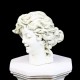 Garden Lady Head Fiberglass Indoor/Outdoor Garden -  - F41800A