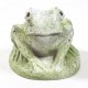 Hypno Frog Fiber Stone Resin Indoor/Outdoor Garden Statue/Sculpture -  - FS35862