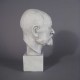 Freud Head On Block 14in. - Fiberglass - Indoor/Outdoor Statue -  - T6771