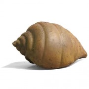 Gulf Shell - Fiberglass Resin - Indoor/Outdoor Statue/Sculpture