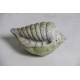 Gulf Shell - Fiber Stone Resin - Indoor/Outdoor Statue/Sculpture -  - FS8584