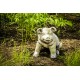 Patty Pig - Fiber Stone Resin - Indoor/Outdoor Garden Statue/Sculpture -  - FS9162