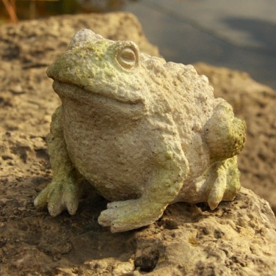 Croak Toad - Fiber Stone Resin - Indoor/Outdoor Statue/Sculpture -  - FS8670