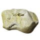 Rearing Horses Frieze - Fiberglass - Indoor/Outdoor Statue -  - F68366