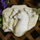 Rearing Horses Frieze - Fiberglass - Indoor/Outdoor Statue -  - F68366