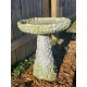 Stone And Flower Birdbath 22in. Fiberglass Resin In/Outdoor Statue -  - FS7808