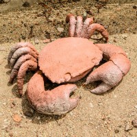 Crab Fiberglass Resin Indoor/Outdoor Garden Ornament
