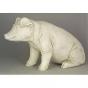 Arnold The Pig Sitting 15in. Fiberglass Resin Indoor/Outdoor Statue