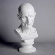 Anatomy Bust - Fiberglass Resin - Indoor/Outdoor Statue/Sculpture