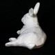 Field Rabbit Fiberglass Indoor/Outdoor Garden Statue -  - F8835