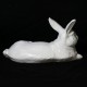 Field Rabbit Fiberglass Indoor/Outdoor Garden Statue -  - F8835