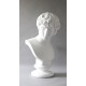 Antinous 26in. (From Stefano) - Fiberglass - Outdoor Statue -  - TDS429